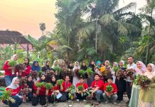 Kolaborasi KKN UMRI Kelompok 12 dan Warga RW 08 Kelurahan Mentangor, Taman PKK Mulai Berikan Hasil